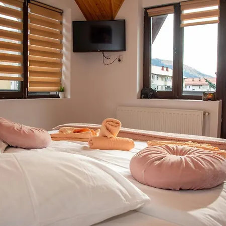 Casa Affittacamere Sinaia